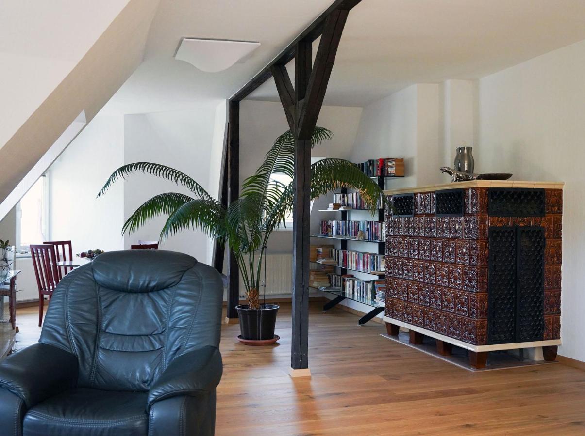 Apartment In Villa Rochlitz Dış mekan fotoğraf