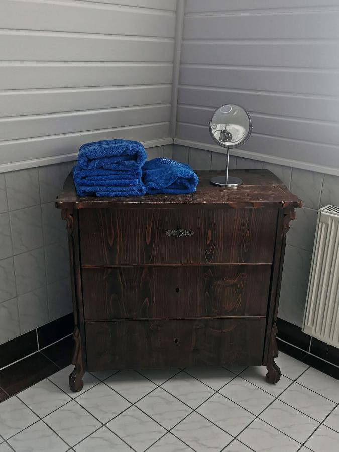 Apartment In Villa Rochlitz Dış mekan fotoğraf