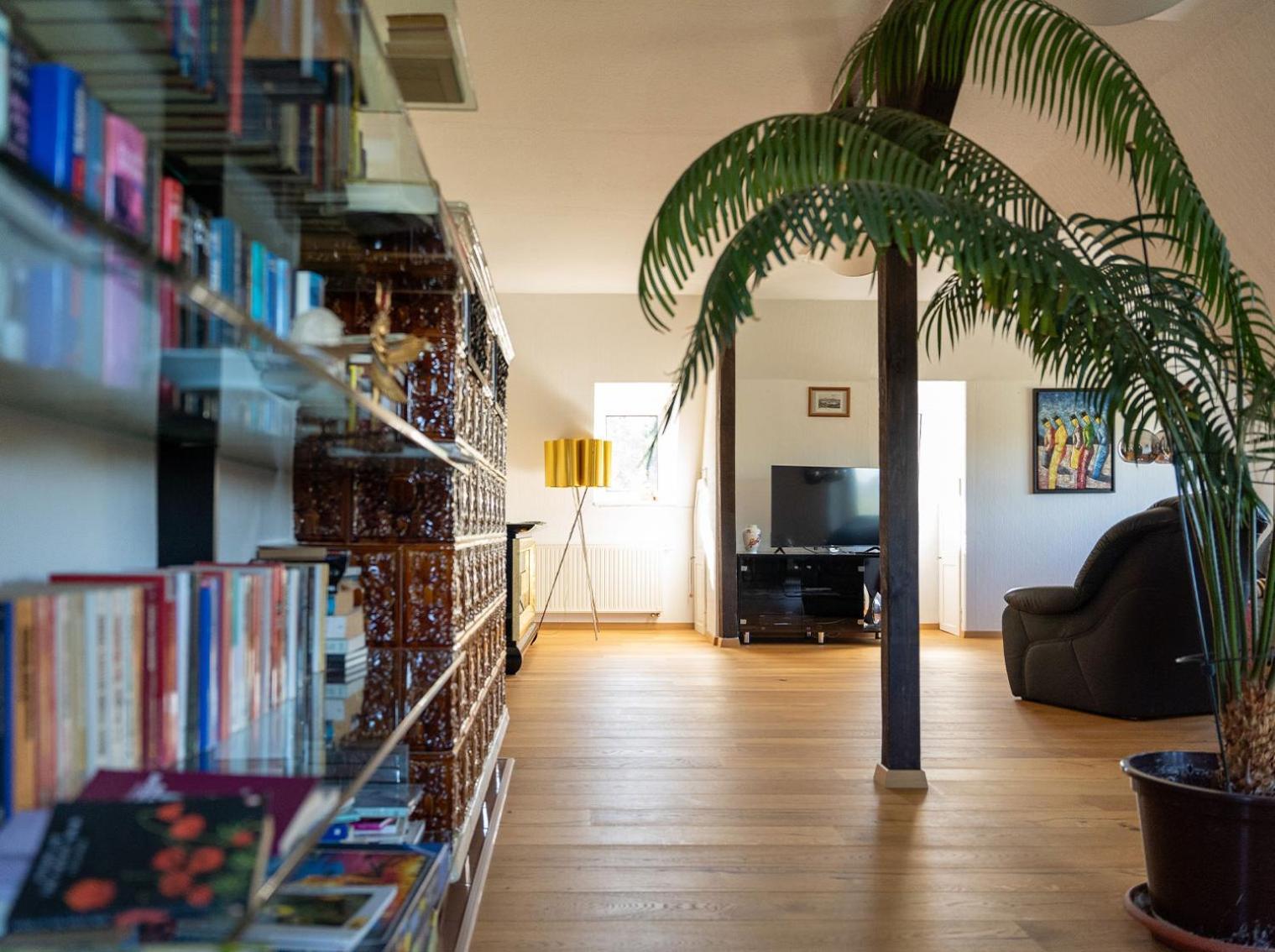 Apartment In Villa Rochlitz Dış mekan fotoğraf